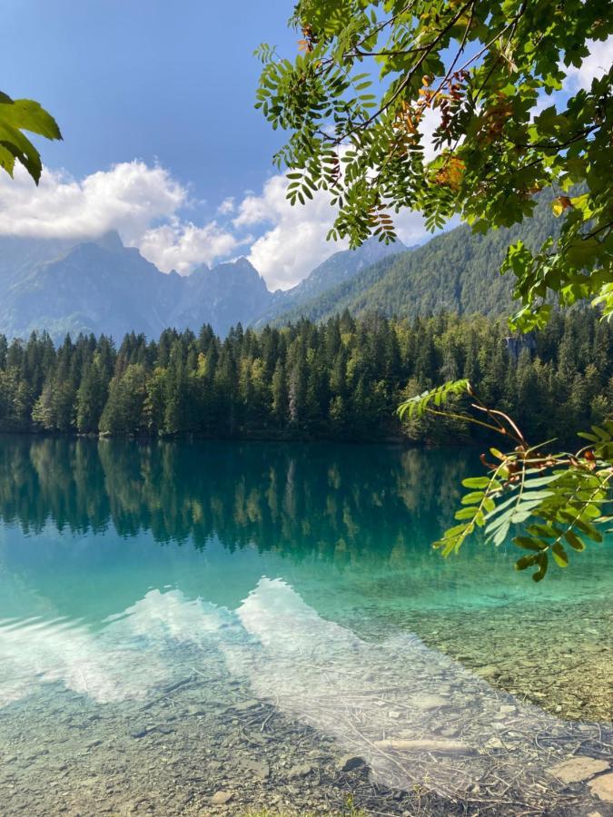 Apartments Belopeski Dvori Kranjska Gora Luaran gambar