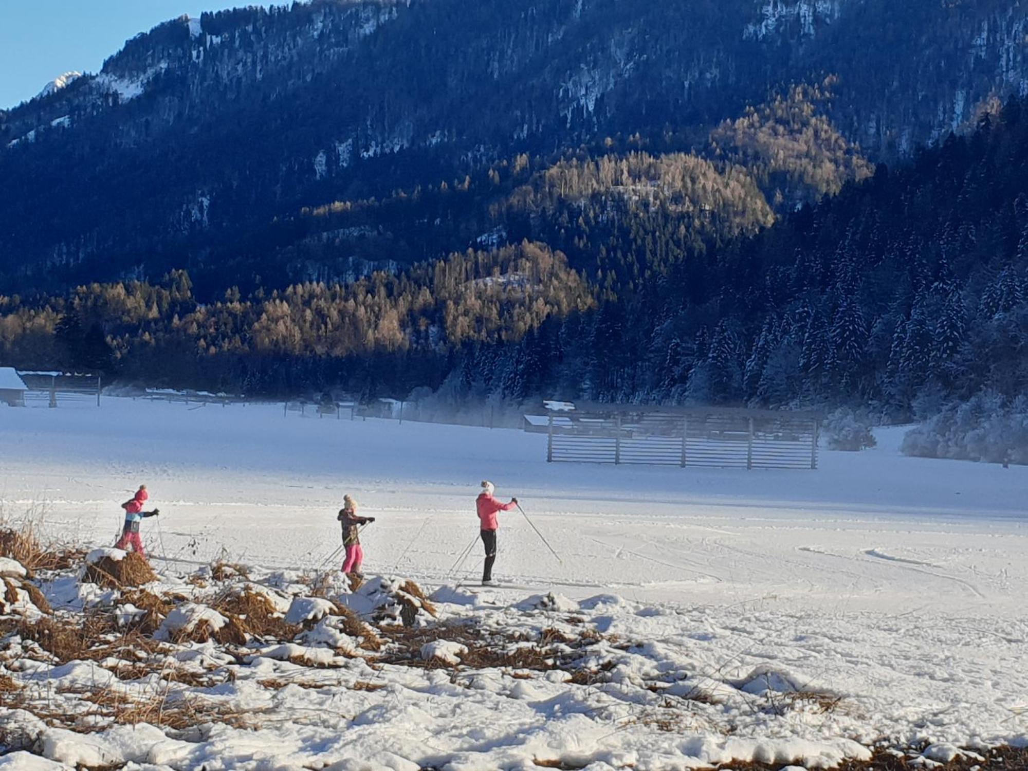 Apartments Belopeski Dvori Kranjska Gora Luaran gambar